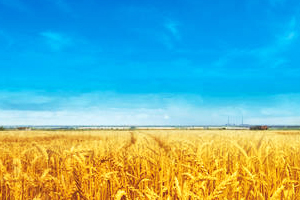 <em>旅游</em><em>管理</em>類<em>專業(yè)</em>：《紅色<em>旅游</em>》<em>課程</em><em>思</em><em>政</em>建設(shè)探索