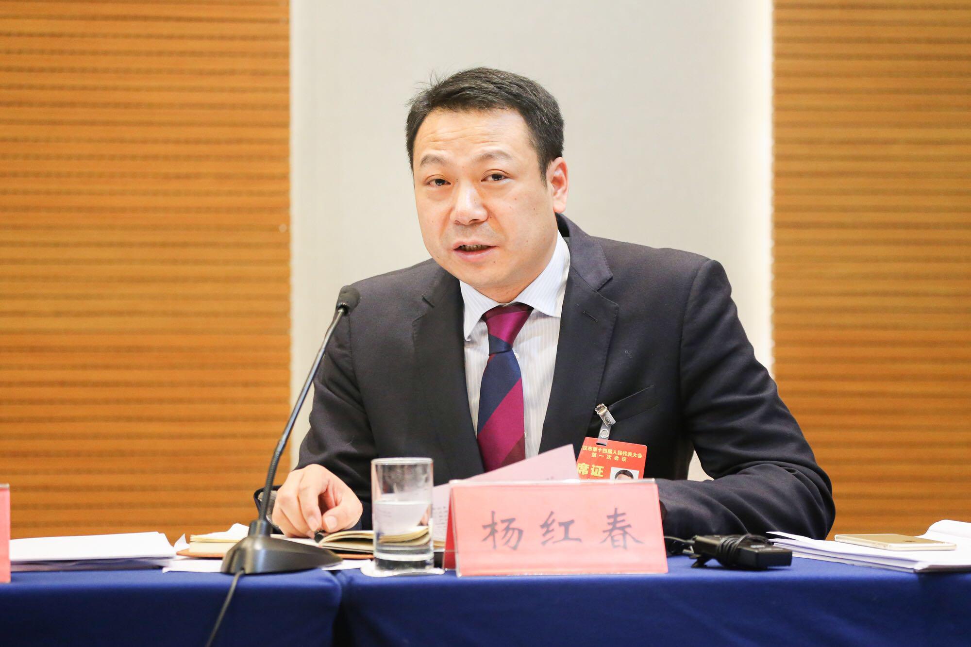 良品鋪子<em>創始人</em>楊紅<em>春</em> 從未放棄的創業夢