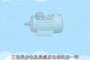 <em>三相</em>異步電動機