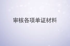 審核各項(xiàng)單證材料—審核的單證材料