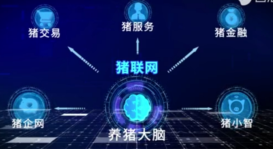 農(nóng)信互聯(lián)<em>豬</em>聯(lián)網(wǎng) 開(kāi)創(chuàng)數(shù)字化時(shí)代<em>的</em>智慧養(yǎng)豬新模式