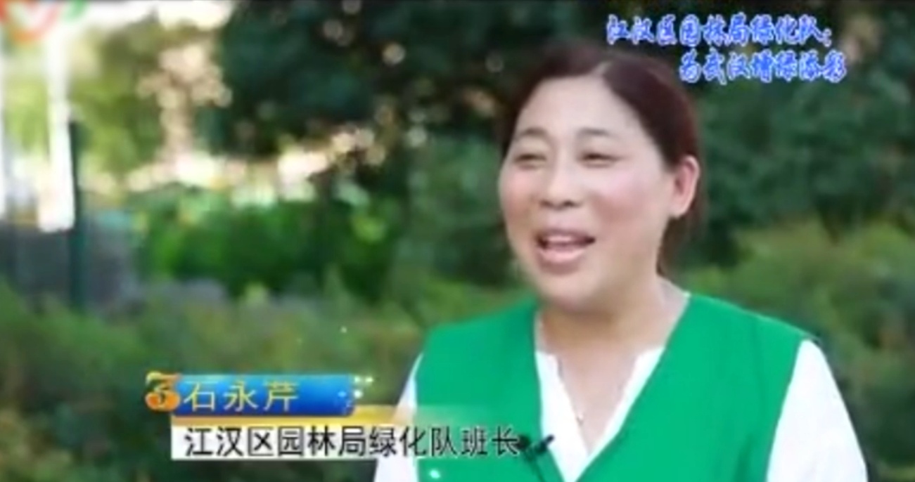 漢江區園林局綠化隊：為武漢<em>增</em><em>綠</em>添彩