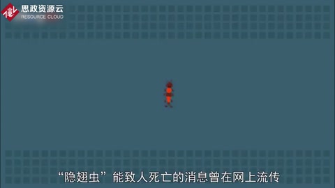 隱翅蟲會咬人致死嗎