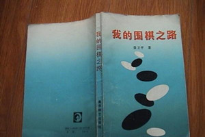 我<em>的</em>圍棋之路