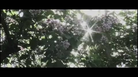 毛概實(shí)踐視頻——改編歌曲《少年》