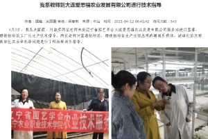 科技服務--遼寧省園藝學會技術服務團隊到大連愛思福農業(yè)發(fā)展有限公司服務站開展技術服務