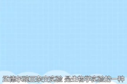 孟德?tīng)柾愣闺s交實(shí)驗(yàn)