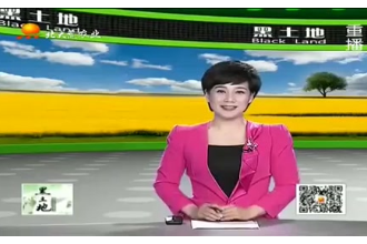 母豬妊娠期的飼養(yǎng)和<em>管理方法</em>