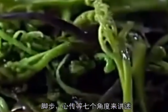 一分鐘了解舌尖上的中國(guó)第二季