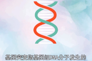 基因突變—指基因在結(jié)構(gòu)上發(fā)生堿基對(duì)組成或排列順序的改變