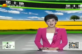 養豬寶典：空懷<em>母豬</em><em>的</em><em>飼養</em><em>管理</em><em>要點</em>