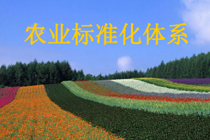 課件：作物生產(chǎn)與經(jīng)營管理專業(yè)《農(nóng)業(yè)標(biāo)準(zhǔn)化》
