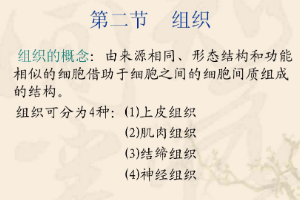<em>課件</em>：中獸醫(yī)專(zhuān)業(yè)《動(dòng)物<em>解剖</em><em>生理</em>—組織》