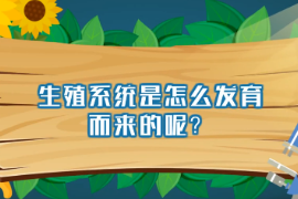 生殖系統是怎么發育而來的呢？