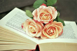 <em>英語專業(yè)</em>：《<em>高級</em><em>英語</em><em>I</em>—黑人尋根與文化自信》<em>課程</em><em>思</em><em>政</em>案例