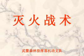 <em>課件</em>：消防<em>指揮</em><em>專(zhuān)業(yè)</em>《滅火<em>戰(zhàn)術(shù)</em>—概念》