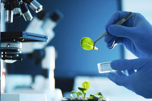 制藥工程、園藝、設施、植物保護、農學、種子科學與工程、中藥學、草業科學專業：《生物化學—緒論》課程思政案例