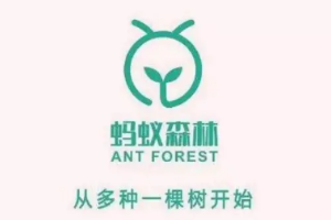 帶你了解<em>螞蟻</em>森林支付寶客戶(hù)端公益行動(dòng)