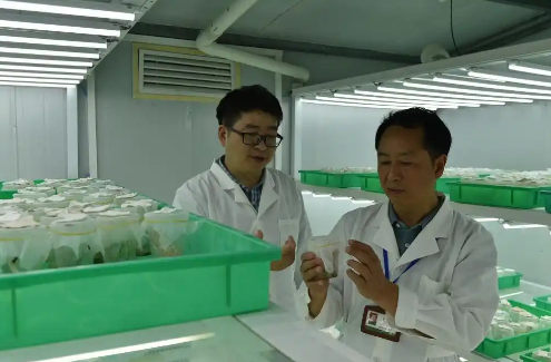 宋光龍植保工匠室：綠水青山的<em>守護</em>者，植保工匠精神的<em>傳承</em>者